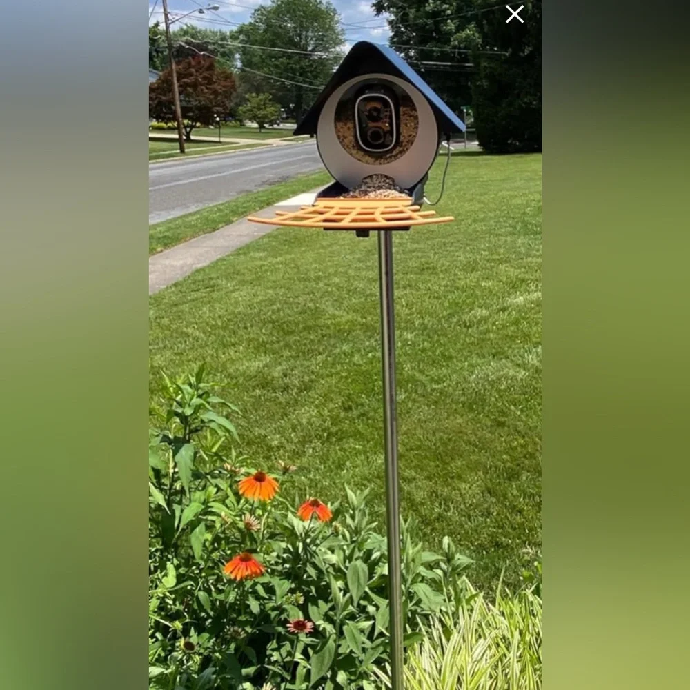 Birdkiss Smart Bird Feeder - NIB